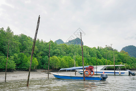 红树林游船马来西亚兰卡威红树林背景