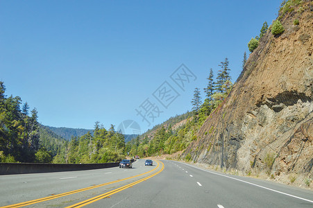 加1车素材美国一号公路沿途森林背景