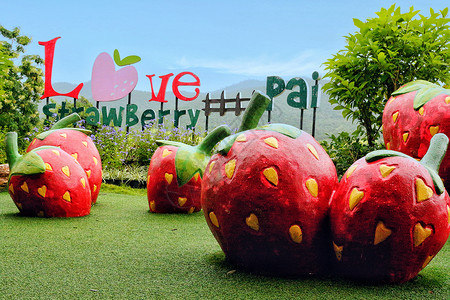 泰国拜县景点草莓园背景图片