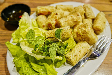 零食餐饮越南炸春卷背景