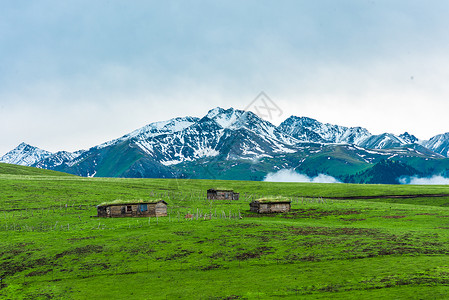 山头新疆天山草原木屋背景