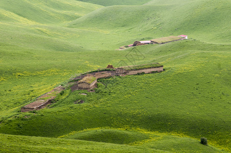 新疆草原牧场山地背景图片