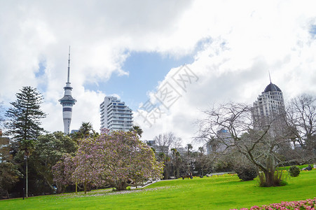 奥克兰天际线新西兰奥克兰公园风光背景