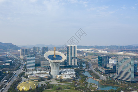 管委会武汉地标建筑马蹄莲背景