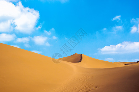 鸣沙山下路过的骆驼队背景图片