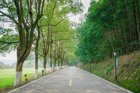 湘潭旅游文化韶山旅游风景区背景