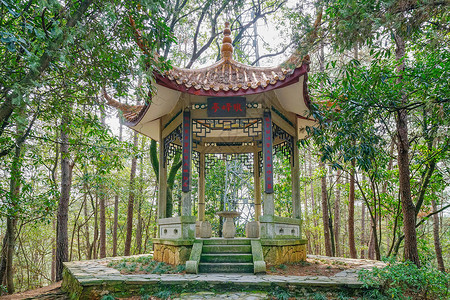 湘潭旅游文化韶山旅游风景区背景