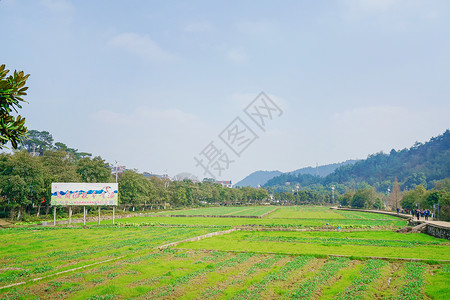 韶山田园风光高清图片