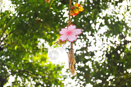 树上的樱花挂饰背景图片