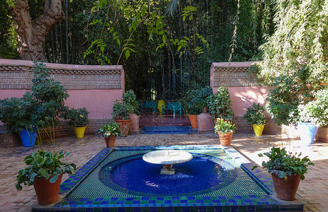 北非花园摩洛哥摩洛哥马约尔花园喷水池背景