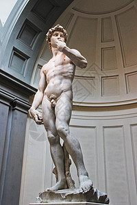 佛罗伦萨学院美术馆大卫像图片