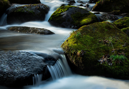 溪流风景绿石谷河石高清图片