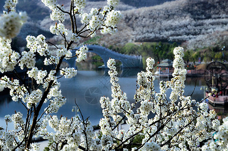 陕西西乡风景背景