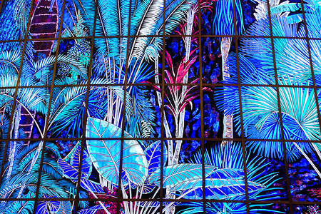 羽毛壁画展览馆中的玻璃墙壁背景