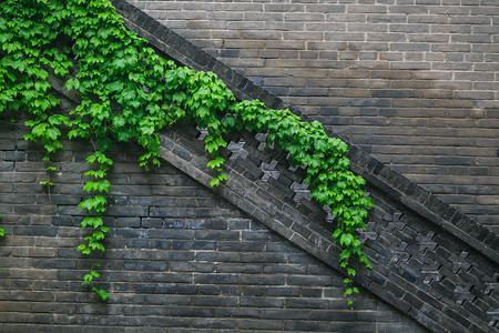 清明燕雨柳古建筑春意背景