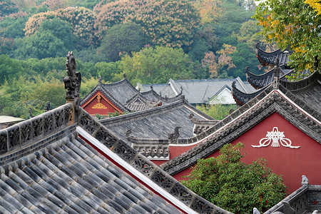 庐山石鸡红墙青瓦的江西庐山寺庙背景