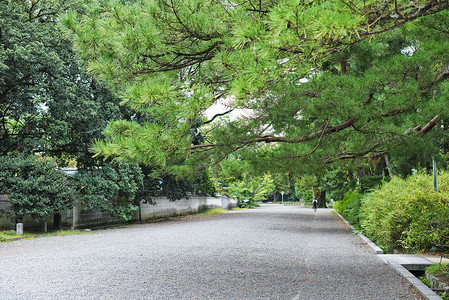 京都御苑道路背景