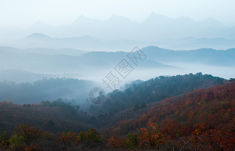 云雾笼罩秋天的美景背景