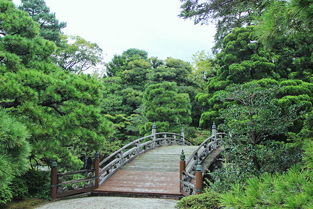 京都御所御池庭小木桥背景