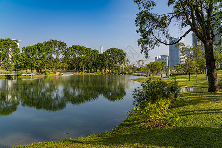 香海大桥深圳香蜜公园背景