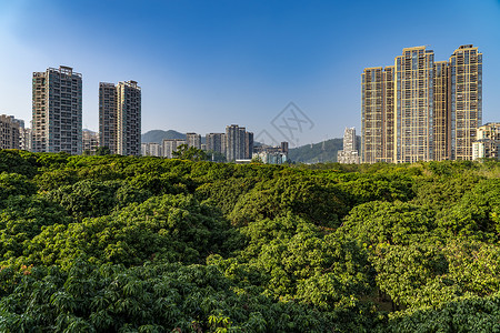 深圳城市建筑背景图片