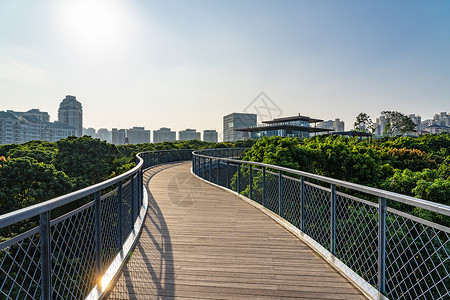 香海大桥深圳香蜜公园道路背景