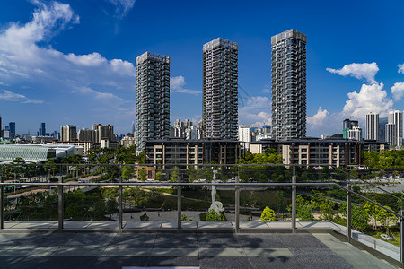 深圳南山区蛇口城市建筑群背景图片