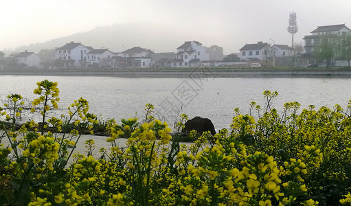 江南名吃江南春色太湖沿岸民居背景