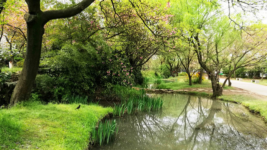 江南春色无锡鼋头渚背景图片