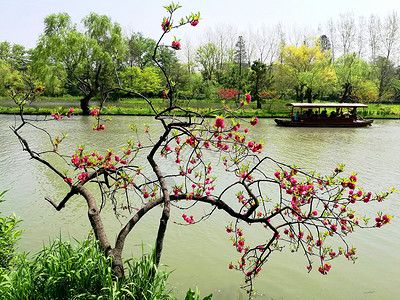 扬州瘦西湖游船图片