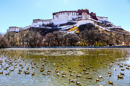 冬天的布达拉宫背景图片
