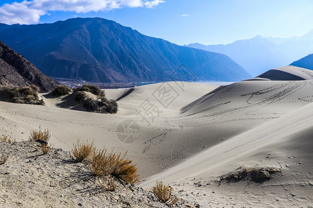 西藏林芝沙丘风光背景图片