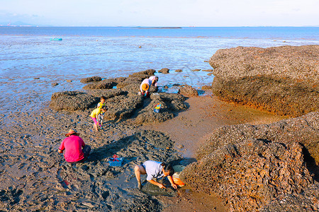 海边沙滩挖蛤蜊背景图片