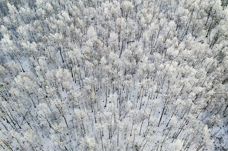 航拍雾凇岭雪景鸟瞰高清图片