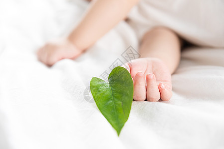 宝贝手婴儿手持绿叶背景