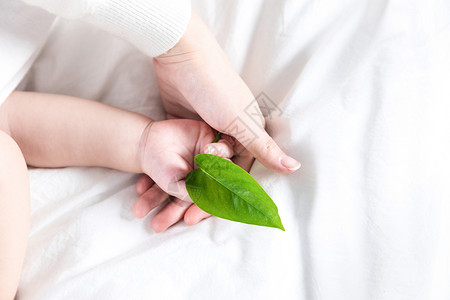 淘气宝贝婴儿手持绿叶背景