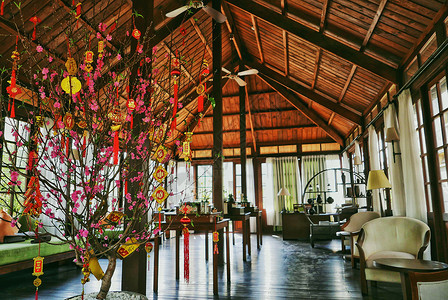 木质传统风格spa会馆背景图片