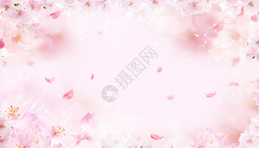 梦幻樱花春天的樱花设计图片