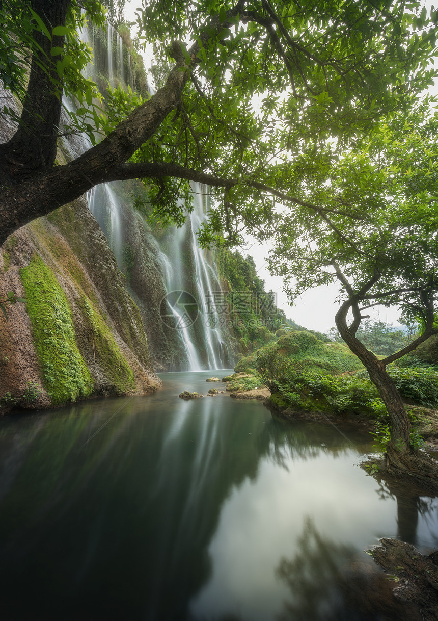 雨林瀑布图片