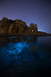 奇幻万圣夜大连奇幻荧光海背景