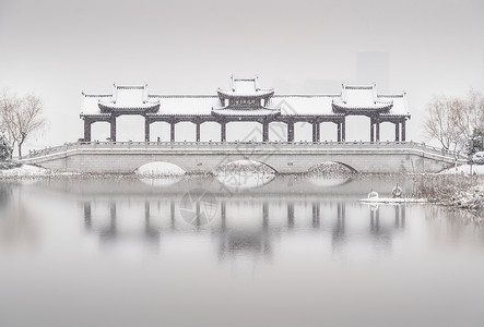 武汉沙湖公园雪景背景