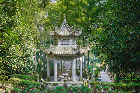 领袖纪念毛泽东纪念园景区背景