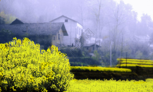 油画春天油画般的农舍背景