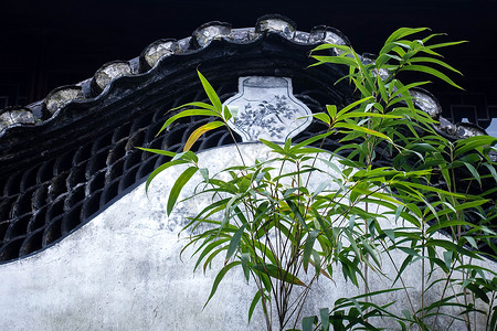 豫园墙头的竹子高清图片