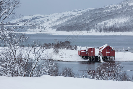挪威北极圈冬季雪景背景图片