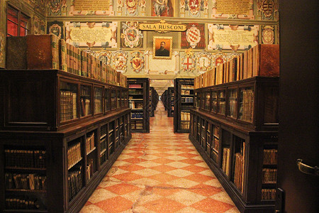 意大利宫博洛尼亚的阿尔基金纳西奥宫图书馆背景