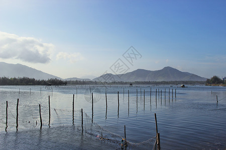 水产背景越南岘港水产养殖场背景