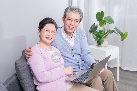 金婚夫妇老年夫妻看电脑背景