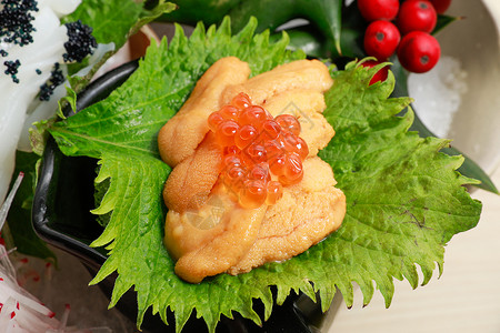 海胆美食海胆背景