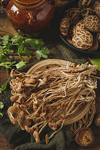 茶树菇背景图片